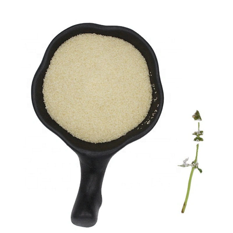 New Arrival Food Additive Gelatin Halal Edible Bovine Gelatin Powder